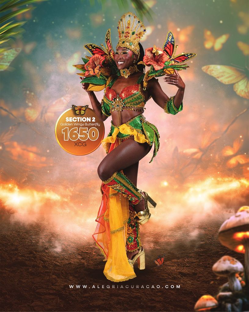 Golden Wings Butterfly costume