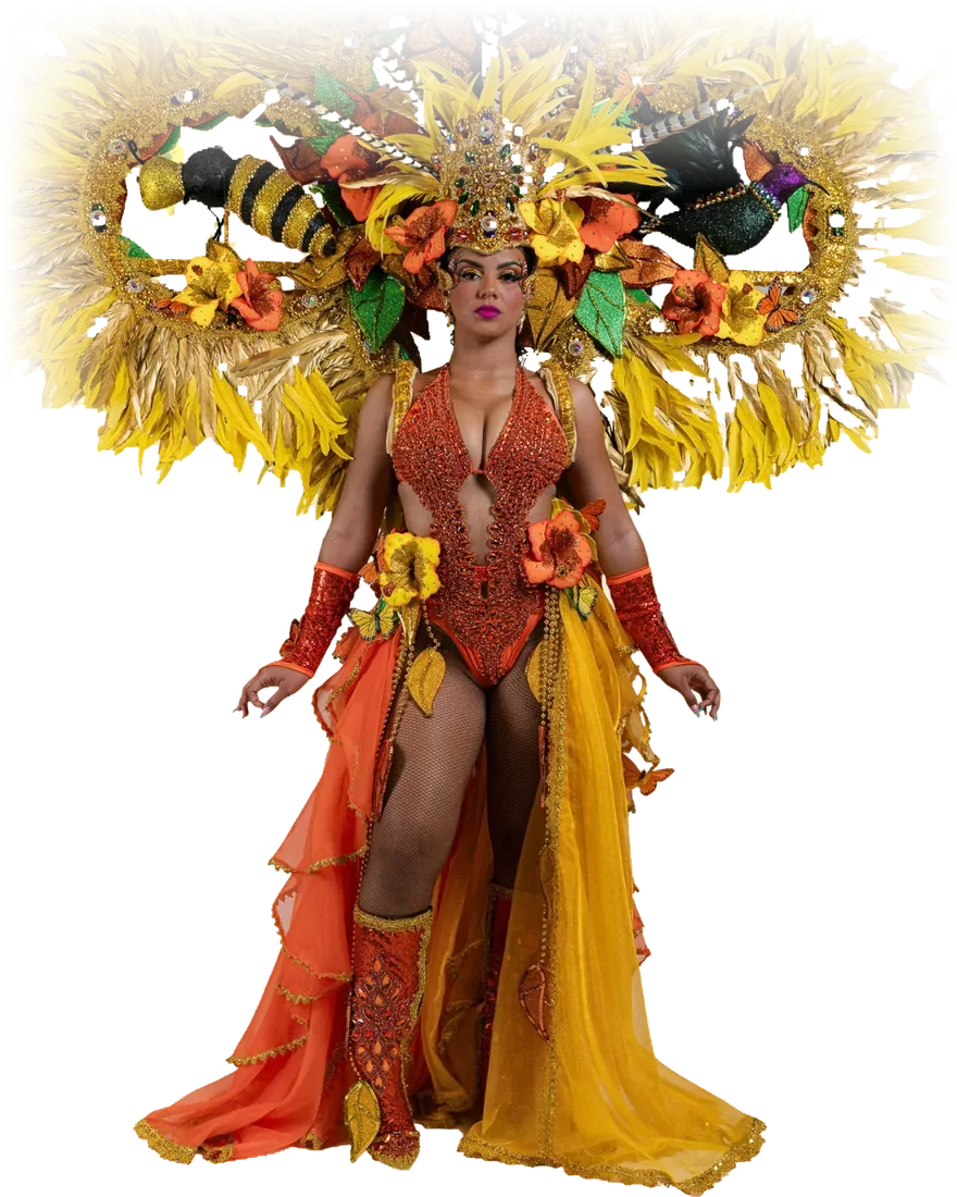Member in a costume with a large golden feathered backpiece